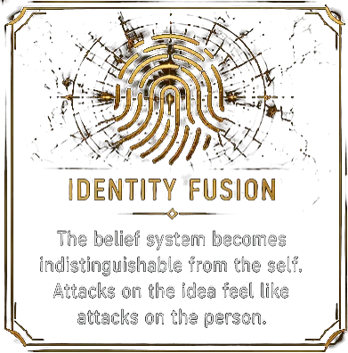 Identity fusion
